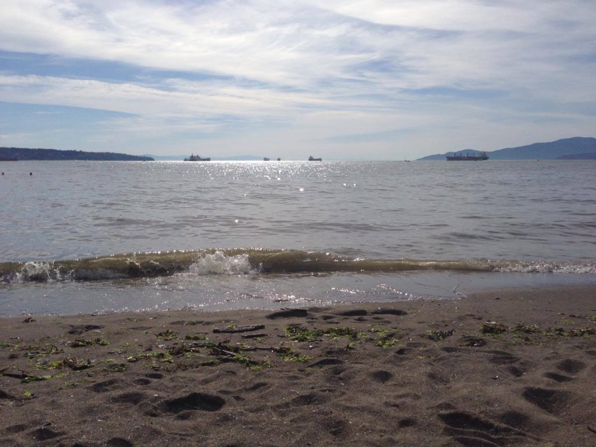 Second Beach is seen in Vancouver's Stanley Park on June 5, 2016.