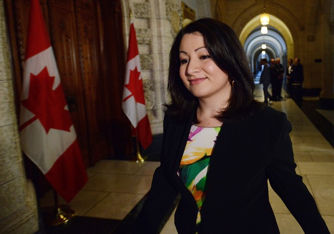 Minister of Democratic Institutions Maryam Monsef wants Canadians to organize their own consultations on electoral reform.