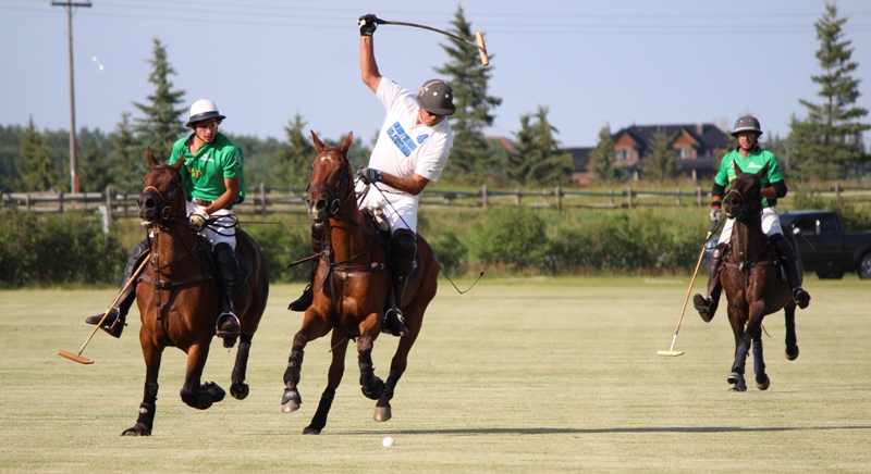 Polo players at the Calgary Polo Club.