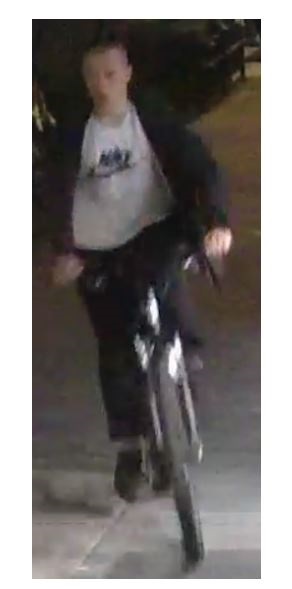 Police searching for suspect in East Vancouver stabbing - image