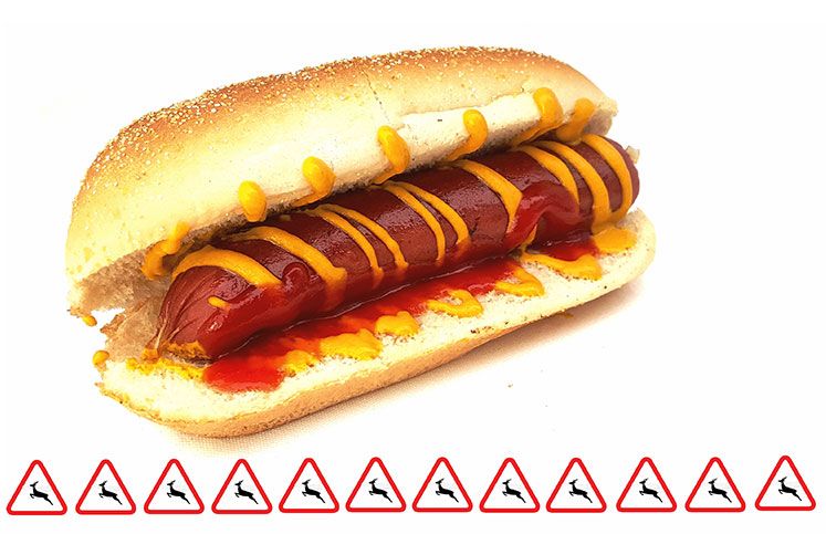 Venison hot dog.
