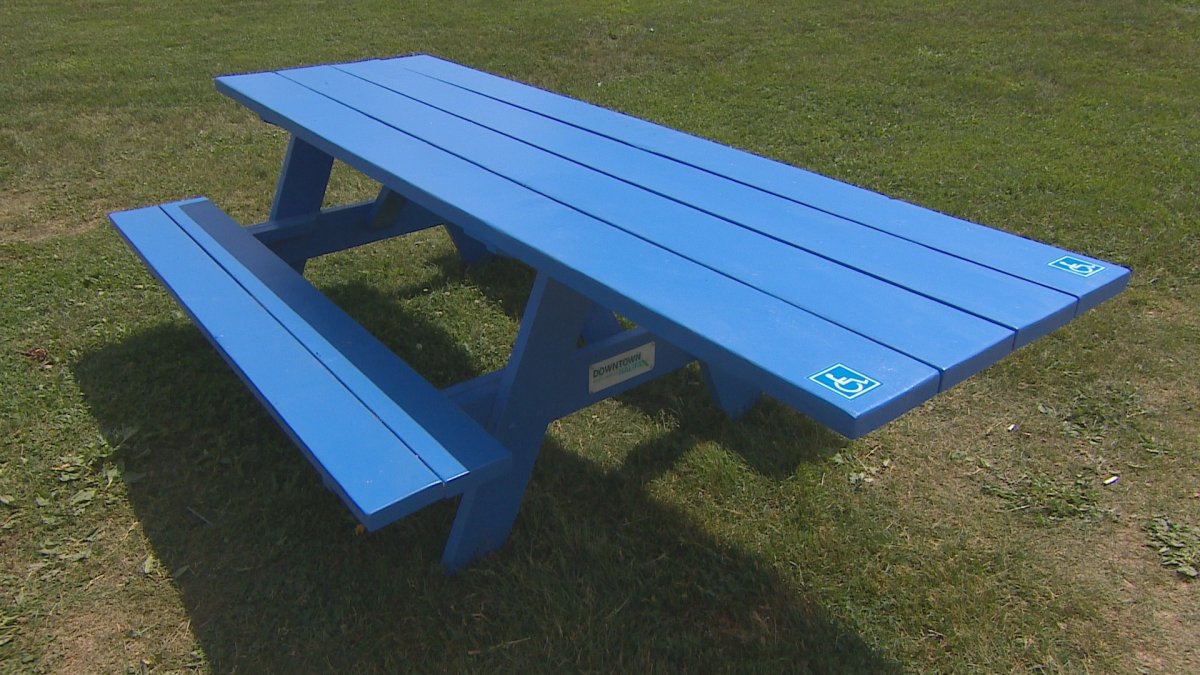 Several wheelchair-accessible picnic tables have been put around downtown Halifax. 