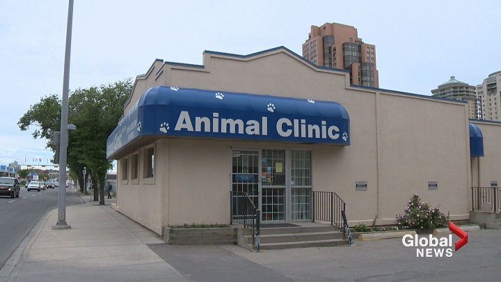 'A bit of a kick in a gut': Alberta's oldest vet clinic on facing a 98% tax  hike 
