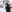 Kristen Bell shares sweet wedding photos with Dax Shepard - image