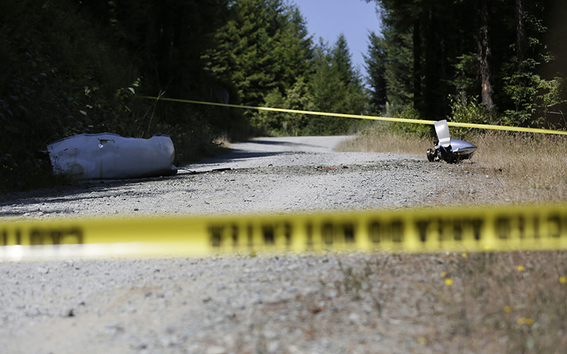 Small Medical Plane Crashes In California, 4 Killed - National ...