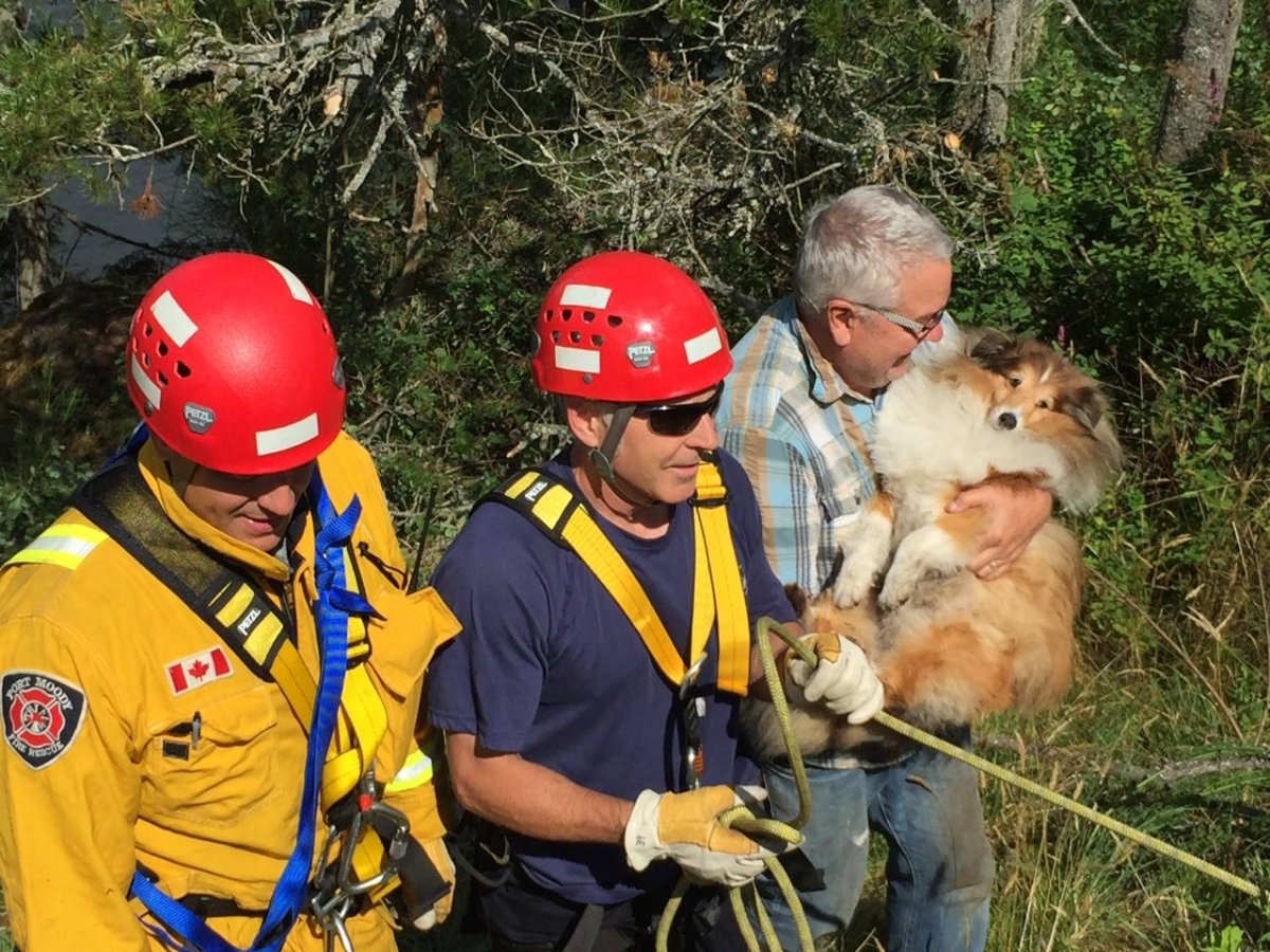 Sasamat Fire Department dog rescue