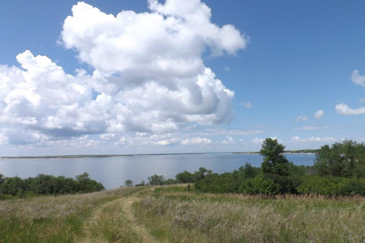 July 2: This Your Saskatchewan photo was taken by Les Anderson at Elbow.