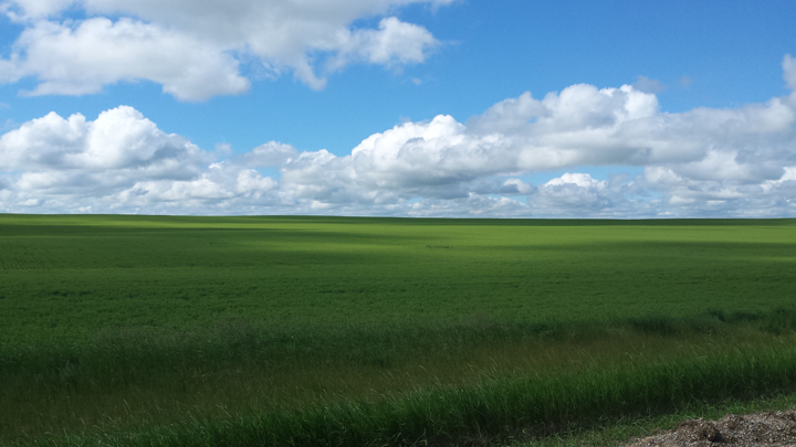 July 3: Tracey Britton took this Your Saskatchewan photo at Saint Victor.