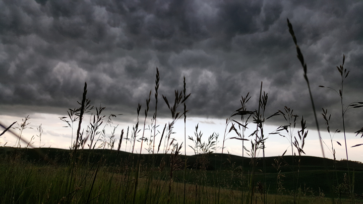 July 4: Brandi Sankey took this Your Saskatchewan photo near Lloydminster.