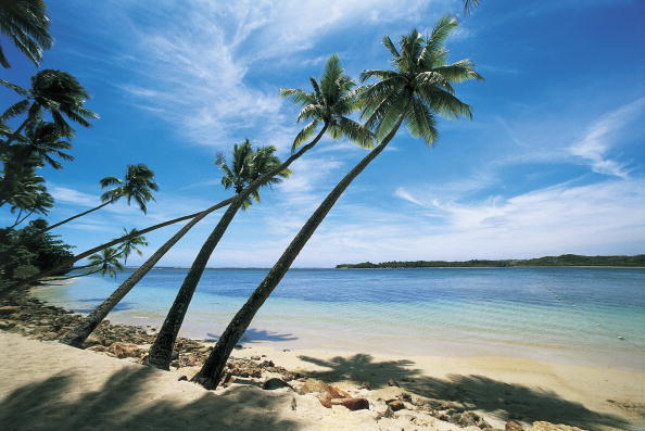 Palm trees leaning over the beach, Natadola Beach, Viti Levu, Fiji  (Photo by De Agostini/Getty Images).