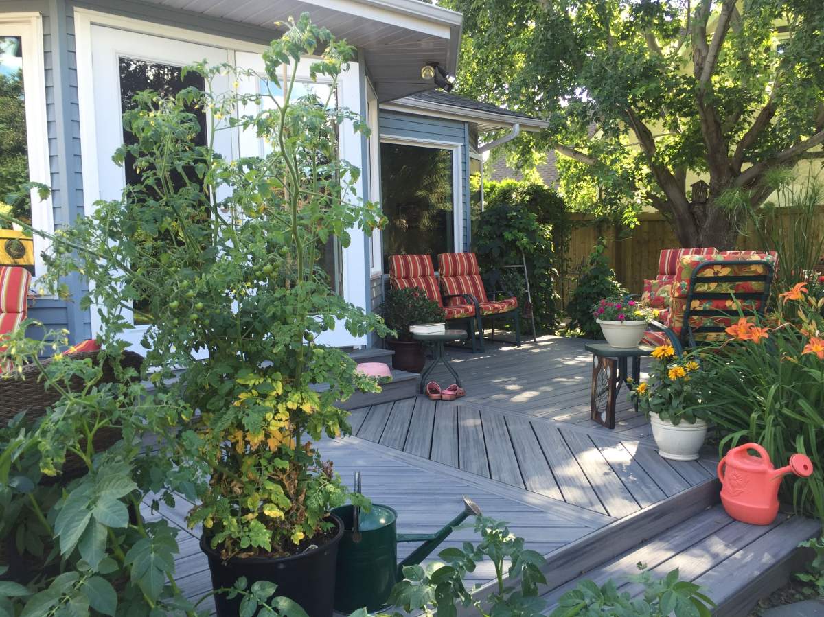 How to protect your home from intruders over the summer - image