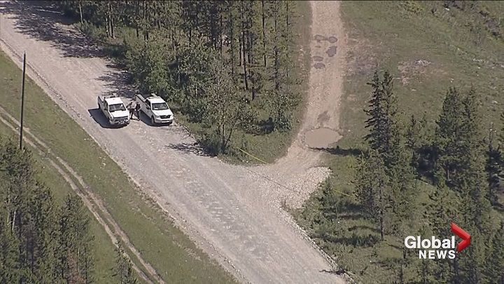 Alberta bear attack