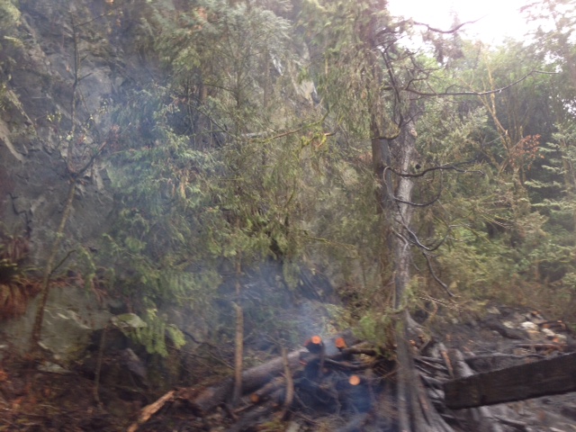 Credit: Roger Hope / Global News