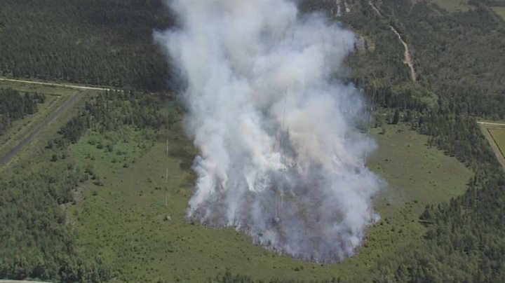 Crews battle large fire in Burns Bog; BC Wildfire Service assisting ...