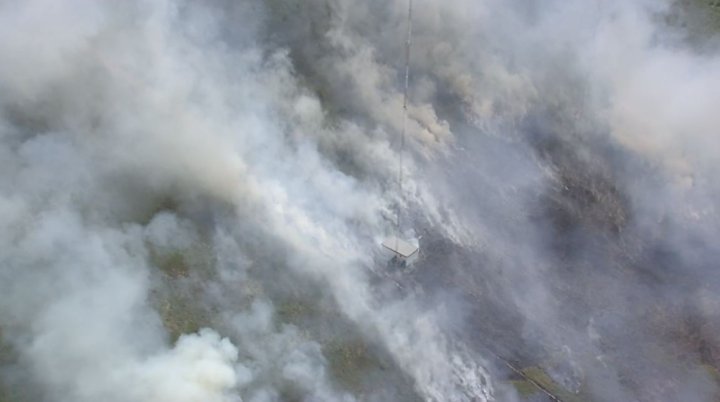 Crews battle large fire in Burns Bog; BC Wildfire Service assisting ...