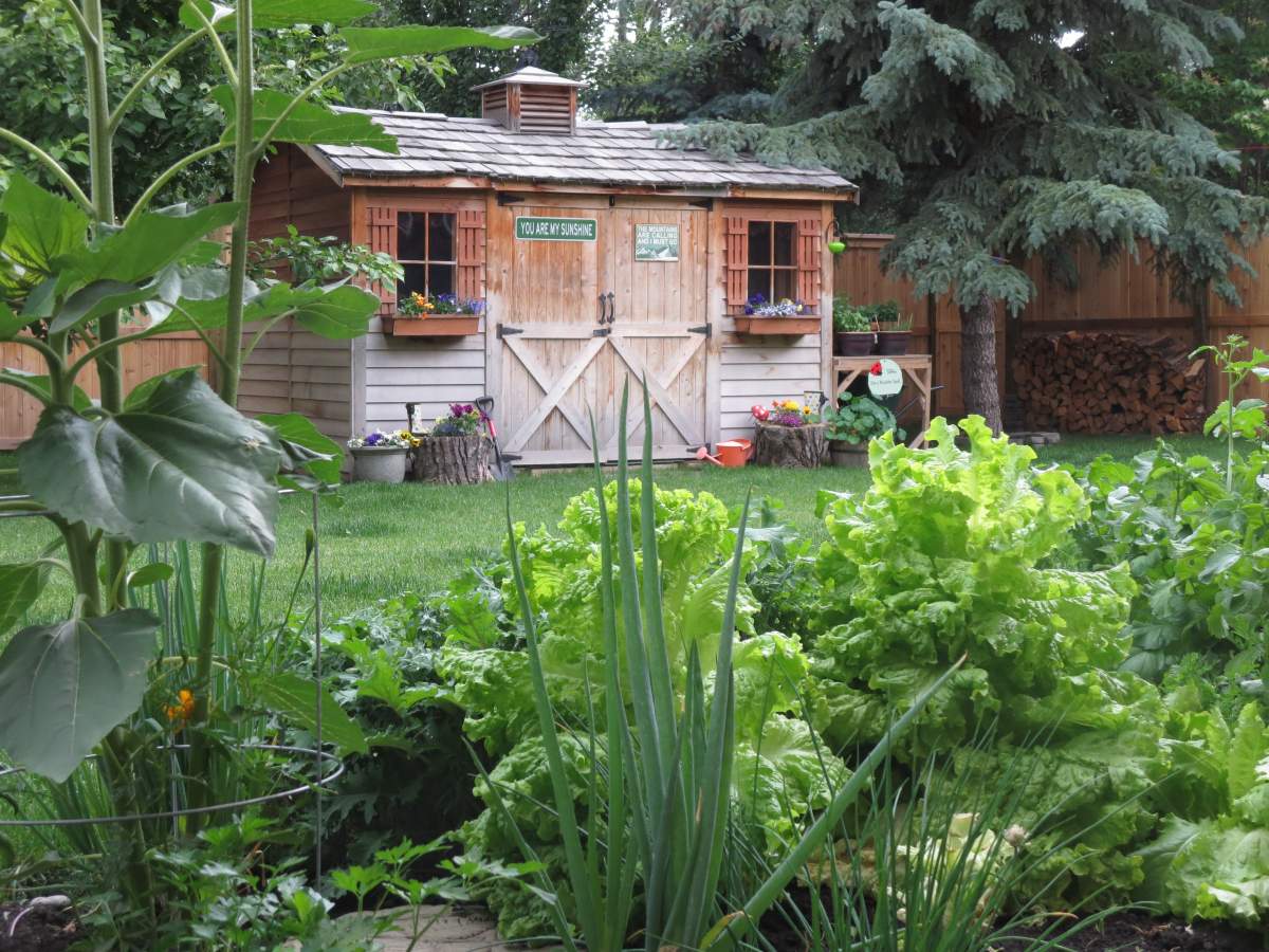 New Gardens (After 2014) - image