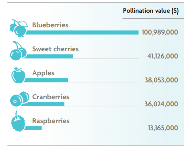 Believe it: B.C. bucks bee trend - image