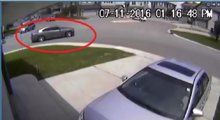 Police believe the man in custody may have been driving this dark sedan in the area Baillie’s car was found.