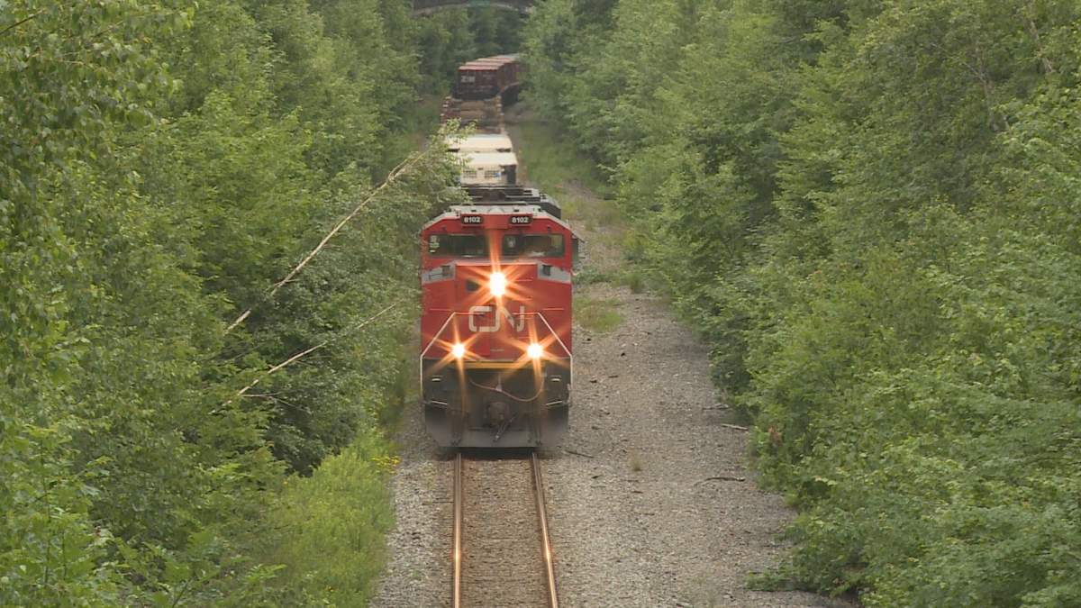 Man killed by train in Chase, B.C. - image