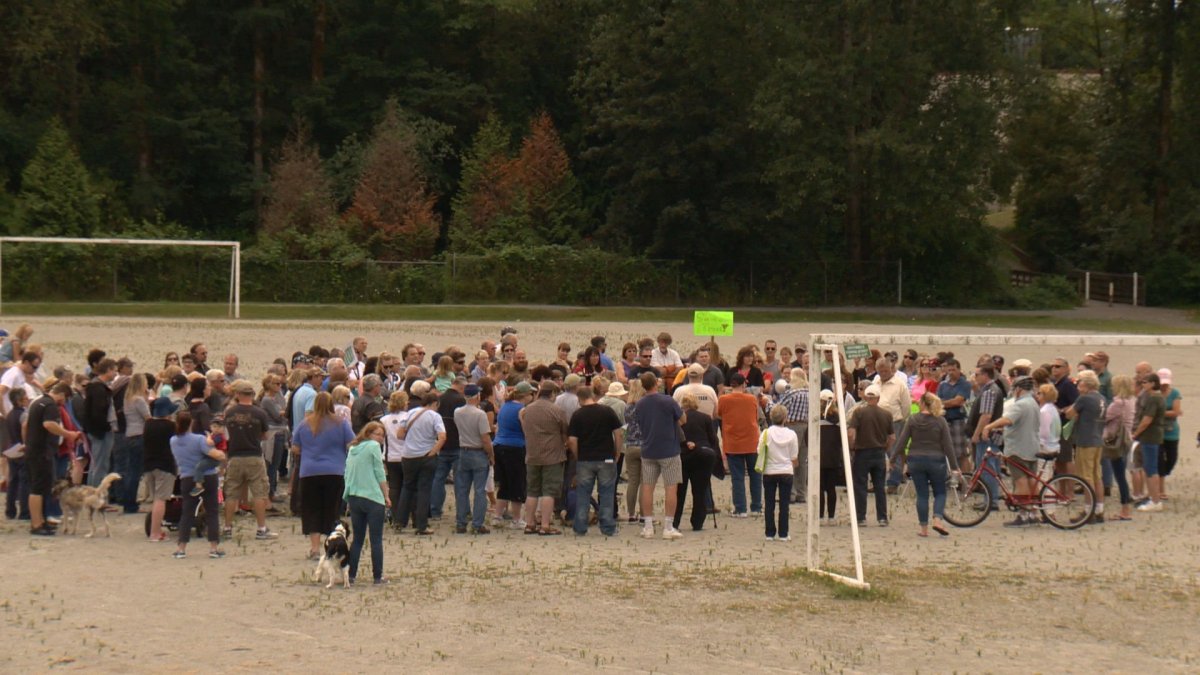 Langley residents protest in Noel Booth Park on July 10, 2016. 