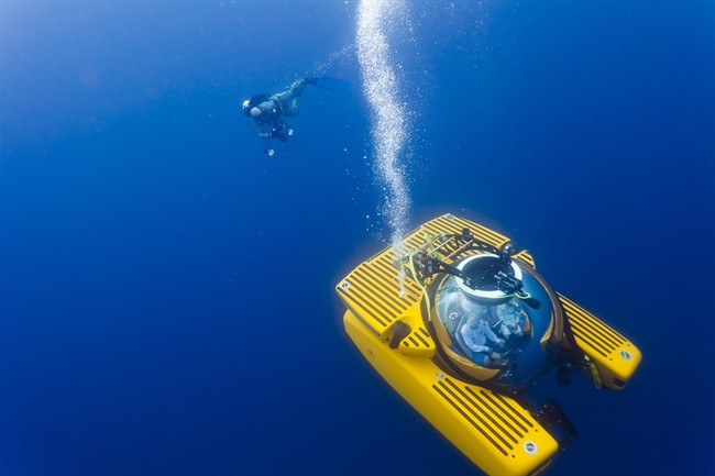 A Triton submersible craft and diver are seen in this undated handout photo. Canada is joining a new mission to research Earth's most unexplored frontier: the deep ocean. A Department of Fisheries and Oceans research vessel is part of a team assembled by the Nekton marine research foundation to explore areas off Bermuda, Nova Scotia and in the Sargasso Sea. THE CANADIAN PRESS/HO-Nekton.