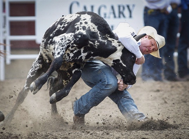 Tanner Milan, of Cochrane, Alta., competes in the steer wrestling event during Calgary Stampede rodeo action in Calgary, in a July 5, 2015, file photo. 
