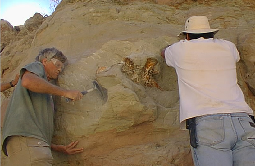 The discovery was made in 2000 on a vertical cliff in Sierra Barrosa in northwest Patagonia.