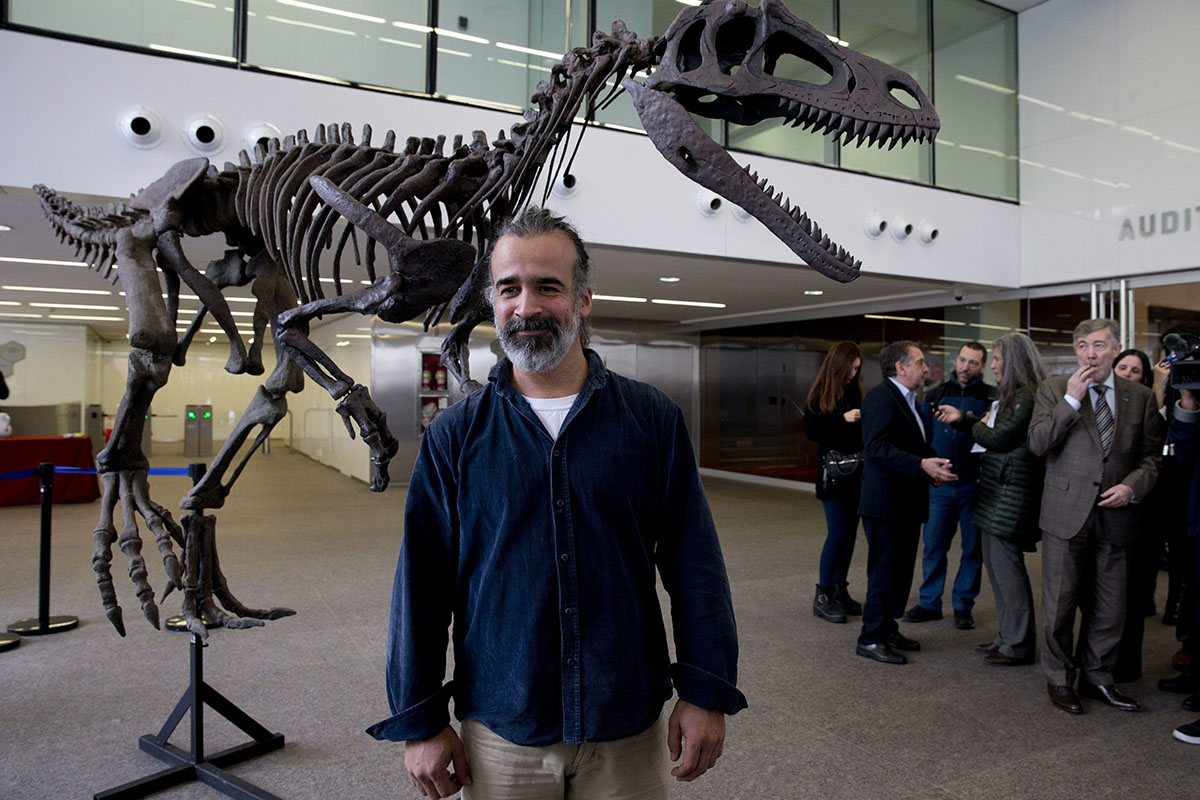 Argentine paleontologist Sebastian Apesteguia poses beside what he says is a replica of newly-discovered carnivorous dinosaur that lived in Argentina about 90 million discovered in Argentina's Patagonia in Buenos Aires, Argentina, Wednesday, July 13, 2016. 
