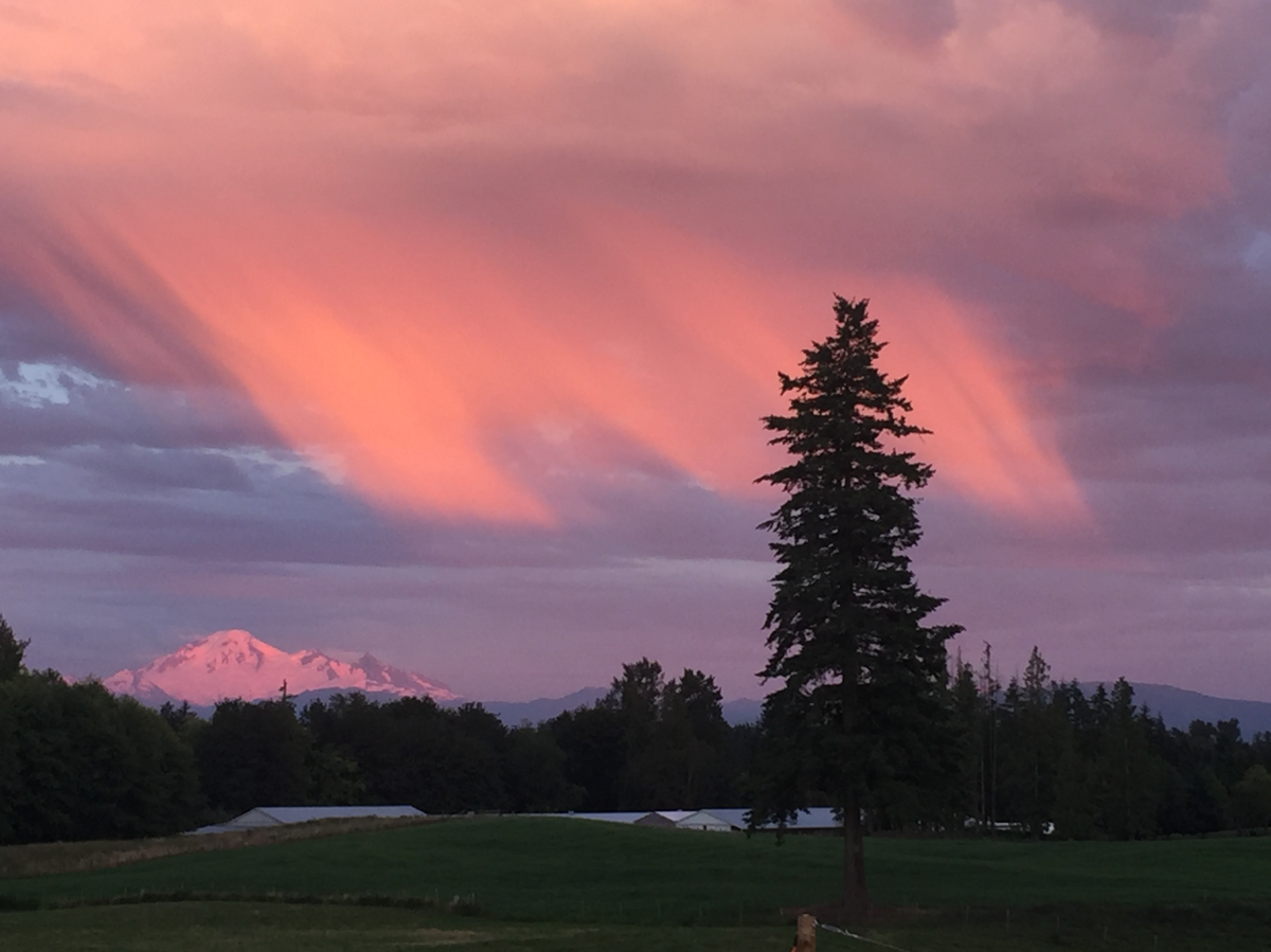 What was behind Thursday’s cloud formation in Abbotsford? - image