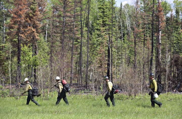 Fire crews work the tree line in Anzac near Fort McMurray, Alta., on Saturday, June 4, 2016.  On Monday, July 4, 2016 the Fort McMurray wildfire was classified as under control. 