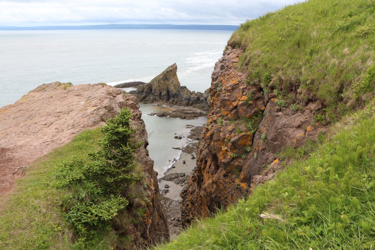 The Cape Split cliffs are pictured on June 10, 2016. The hiking trail is a popular spot for tourists and locals to take in the world famous Bay of Fundy tides. 