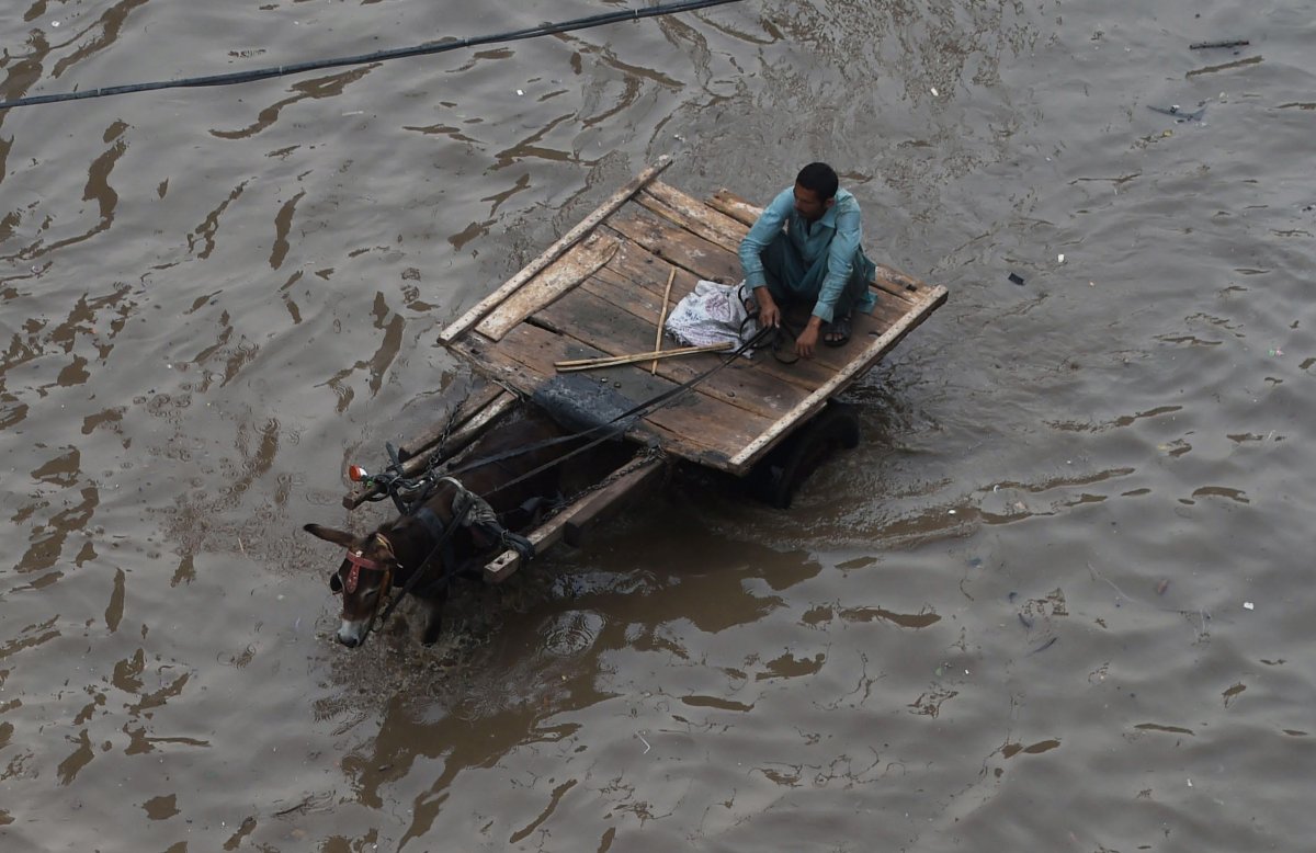 A Pakistani man rides on his donkey-cart through flood waters following heavy rain in Lahore on July 14, 2016. 