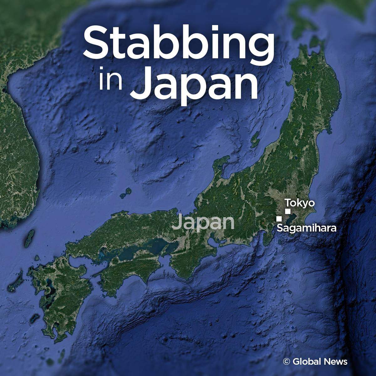 At least 19 killed, 20 injured in knife attack outside Tokyo - image