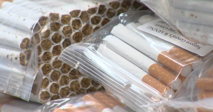 Two Regina men charged after police seize over 7,000 of illegal cigarettes – Regina