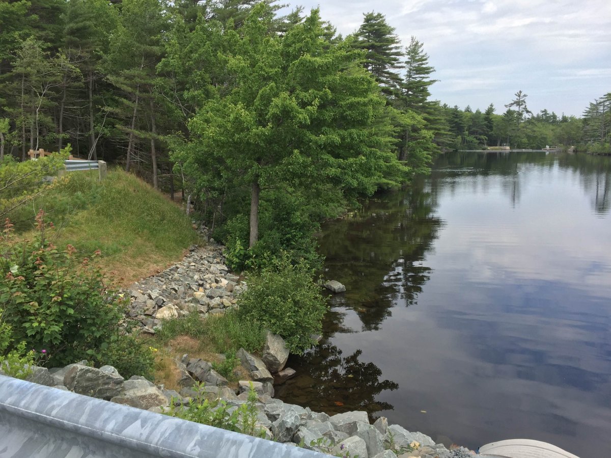A 21-year-old man had to be rescued from the water at Kearney Lake on Saturday in Halifax. 
