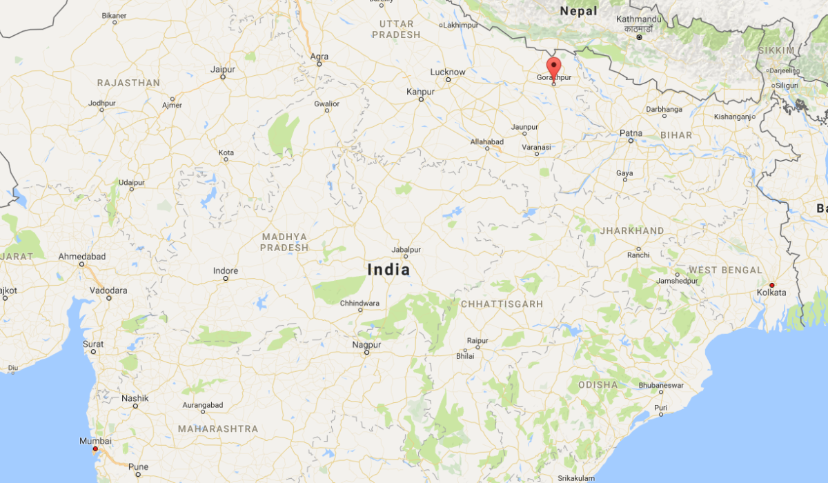 Caught on camera: Leopard killed after mauling 7 villagers in India - image