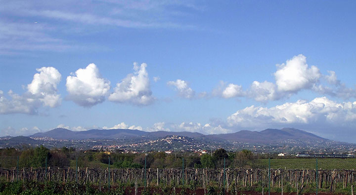 The Colli Albani region.