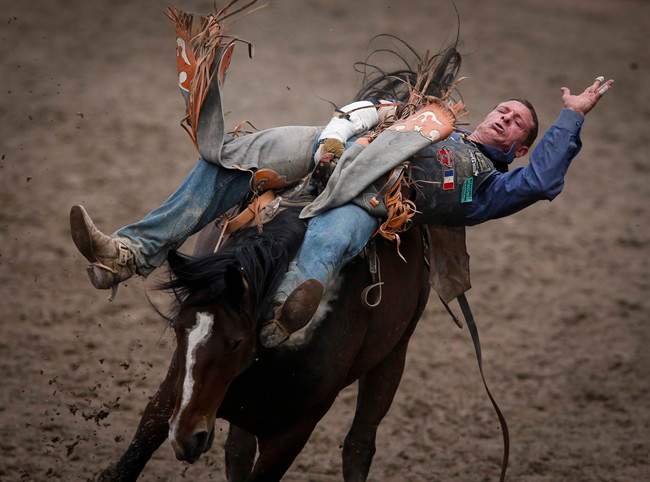 Monteral Rodeo Montreal urban rodeo to go ahead after activists drop legal bid to ...