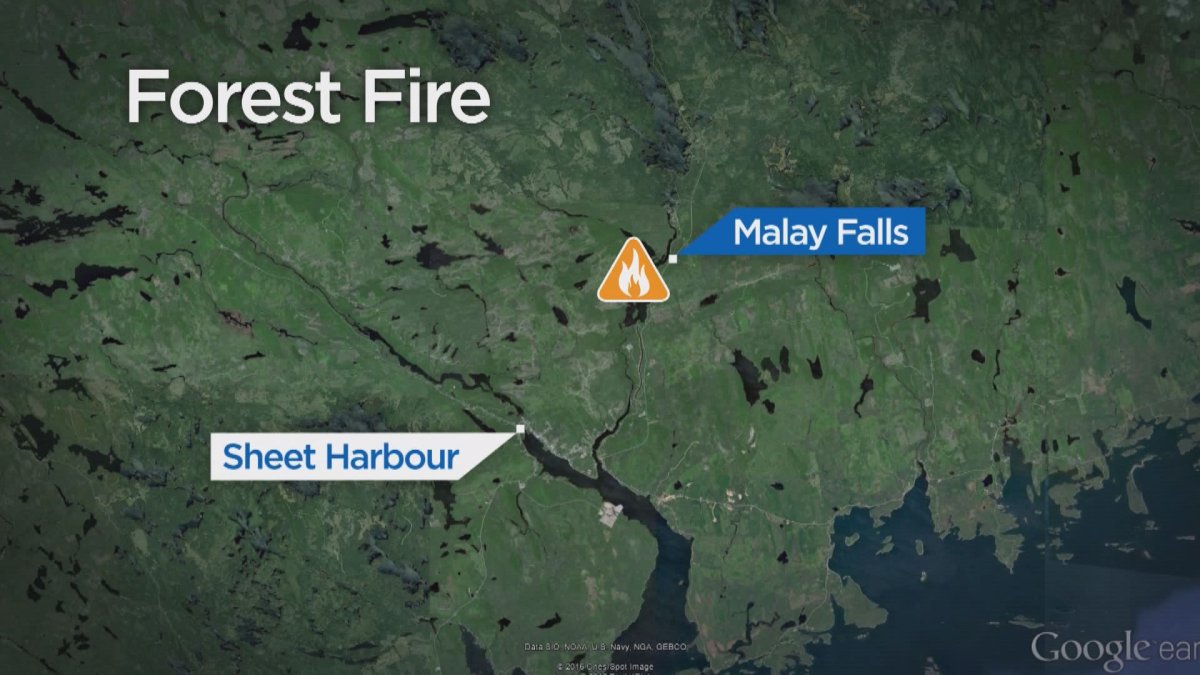A forest fire in Malay Falls was contained on Tuesday.