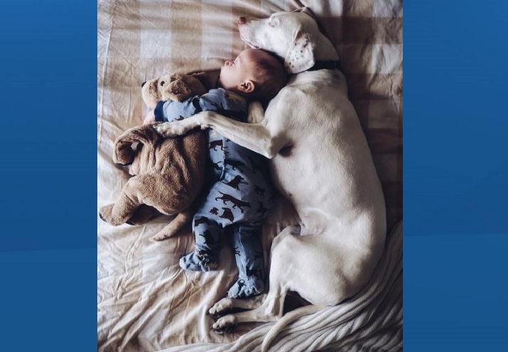 Winnipegger, Elizabeth Spence captures a tender moment between her son, Archie and dog, Nora.