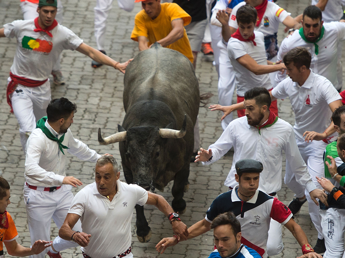 1 dead from bull-run goring in Alicante; 2 gored in Pamplona - National ...