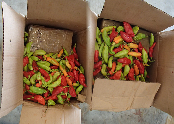 Packages of cocaine concealed in boxes of hot peppers are seen in this handout photo.