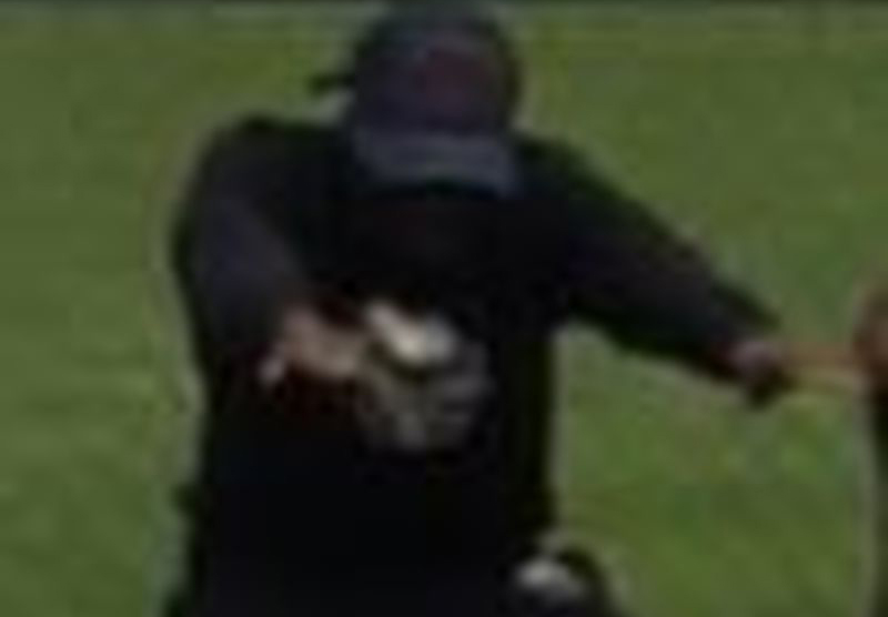 Morning shooting during outdoor fitness class in busy Toronto park leaves 2 injured - image