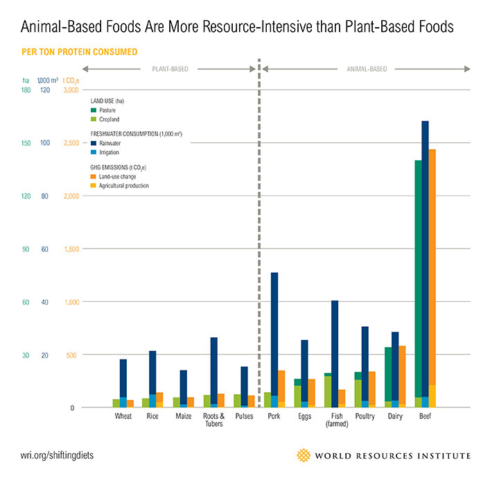 Why living ‘off the grid’ isn’t possible for most Canadians - image