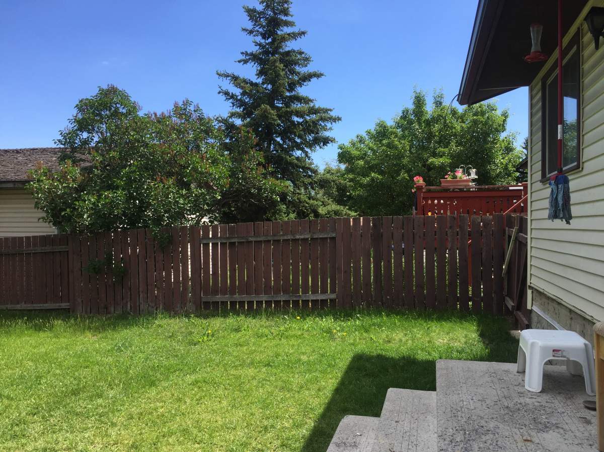 Backyard of the house rented by the Syrian refugee family.