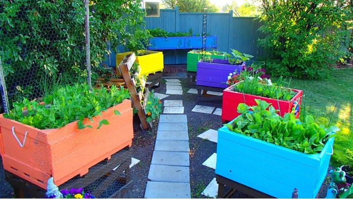 New Gardens (After 2014) - image