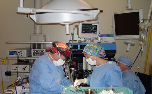 Surgeons operating at Scotia Surgery private clinic in Halifax. 
