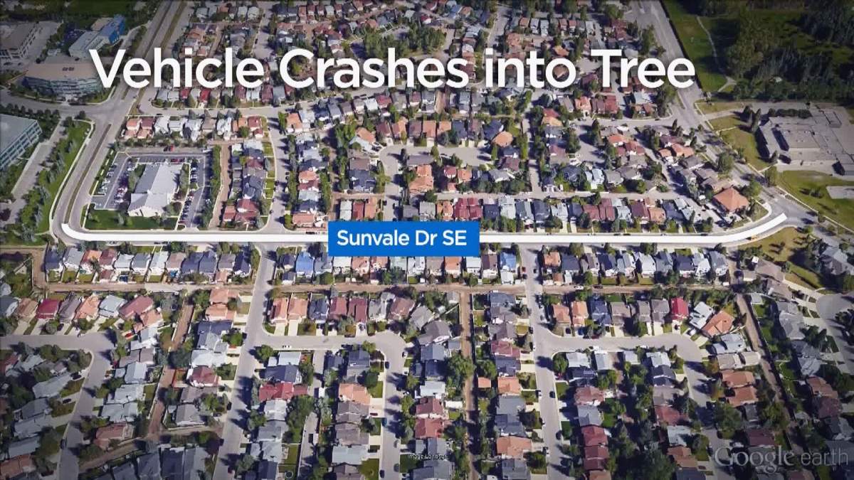 Calgary police said a vehicle crashed into a tree along Sunvale Drive S.E. at around 3:30 a.m. on Friday, July 29, 2016.  