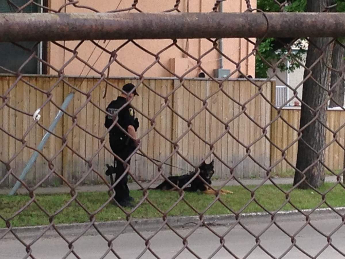 Multiple police cars on scene at McDermot Avenue and Juno Street Saturday morning.