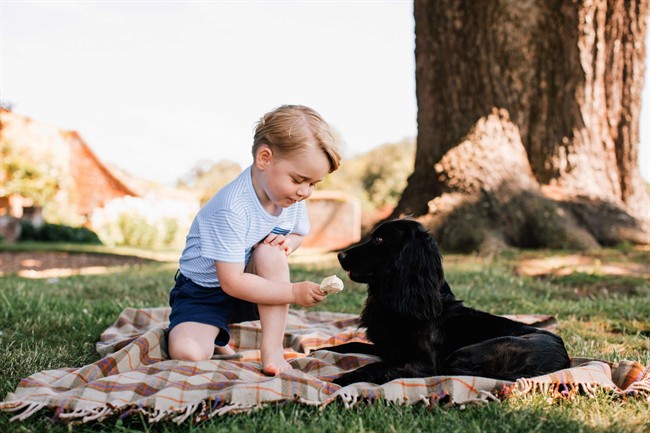 Recent but undated handout photo issued on Friday July 22, 2016 by William and Kate, the Duke and Duchess of Cambridge, of Britain's Prince George with the family dog Lupo, at Sandringham in Norfolk, England. Prince George celebrates his third birthday on July 22, 2016.